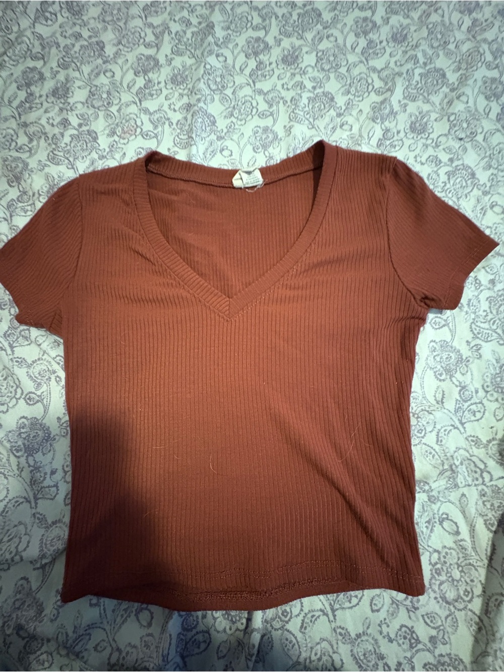 Tilly's Ribbed V-Neck Crop Top in Rust